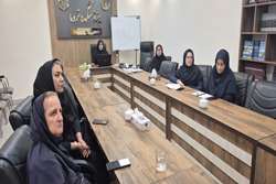 دومین جلسه از دوره تکمیلی مدرسه پاییزه تحت عنوان دیپلم پژوهشی در تاریخ 27 مهر 1404برگزار گردید. 