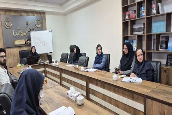 دیپلم پژوهشی 
