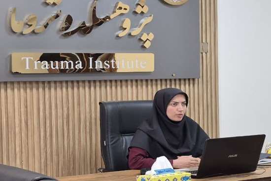 دیپلم پژوهشی 